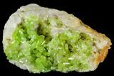 Apple-Green Pyromorphite Crystal Cluster - China #112203-1